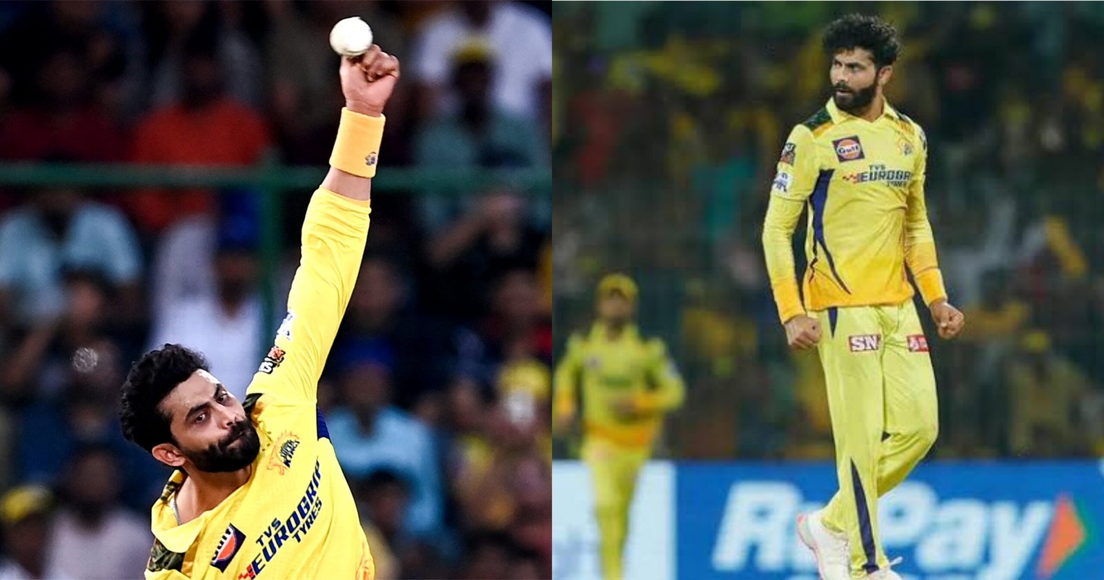 Some Fan Still Don T Know Ravindra Jadeja Takes Dig At Csk Fans